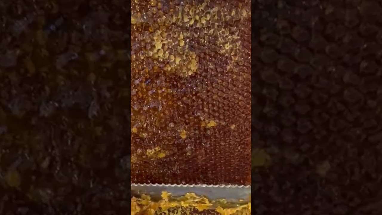 Produktvideo